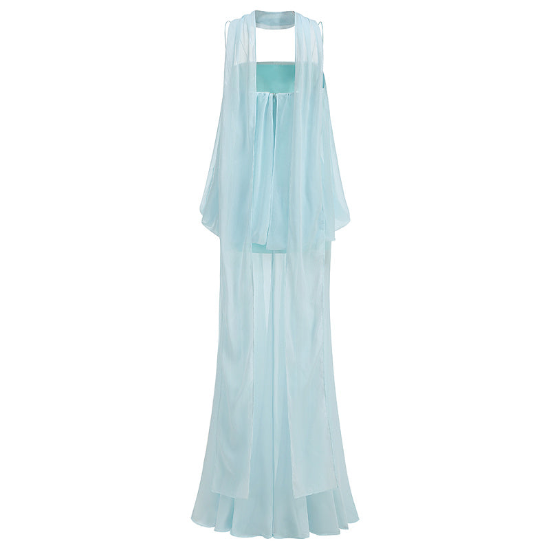 display: Back view of Sheer Sash Halter Maxi Dress